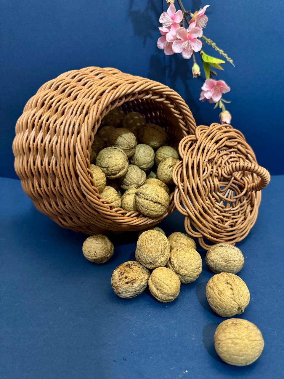 پیشنهادهای شگفت‌انگیز